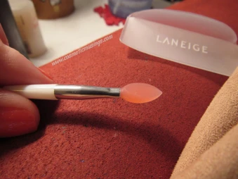 Lip Mask Applicator