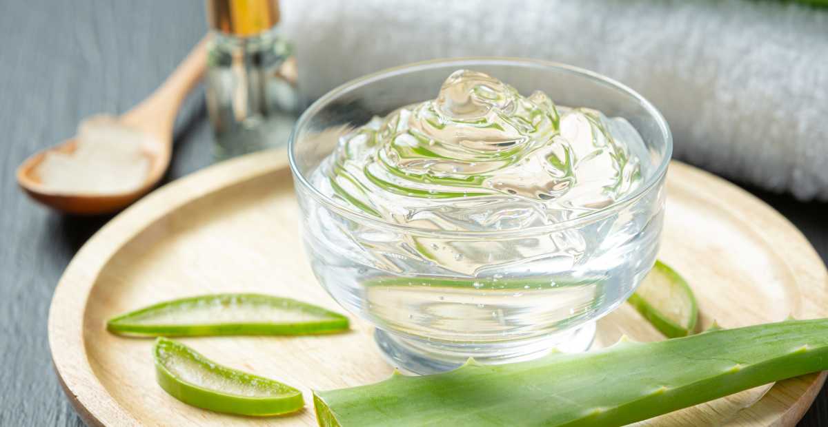 Aloevera Gel: Rahasia Perawatan Kulit Alami yang Melembabkan