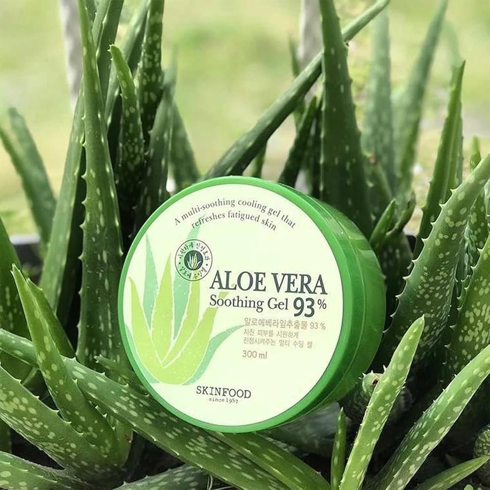 Skinfood Aloevera: Rahasia Kulit Lembap dan Sehat Alami