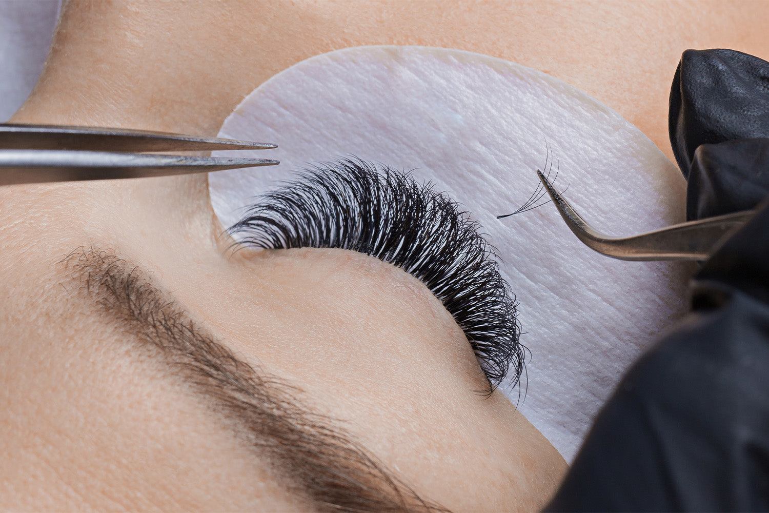 Voulme Lash